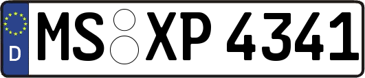 MS-XP4341