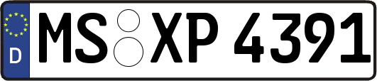MS-XP4391