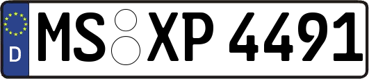 MS-XP4491