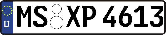 MS-XP4613