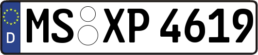 MS-XP4619