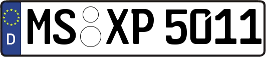 MS-XP5011