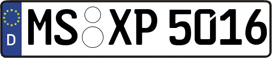 MS-XP5016