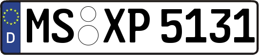 MS-XP5131
