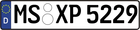 MS-XP5229