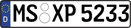 MS-XP5233