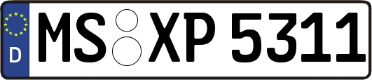 MS-XP5311