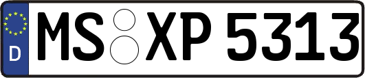 MS-XP5313