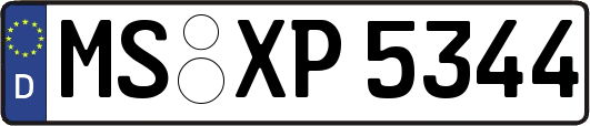 MS-XP5344