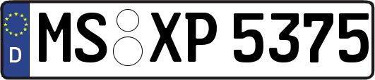 MS-XP5375