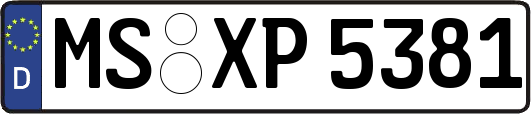 MS-XP5381