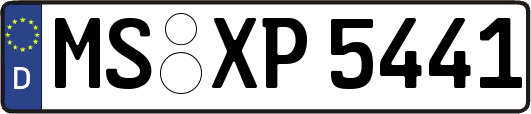 MS-XP5441