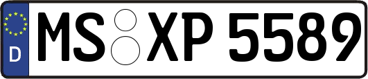 MS-XP5589