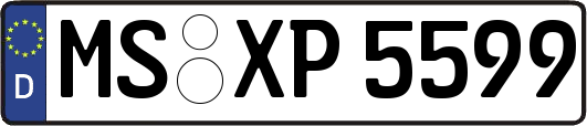 MS-XP5599