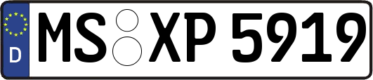 MS-XP5919