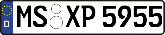 MS-XP5955