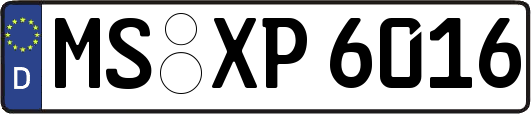 MS-XP6016