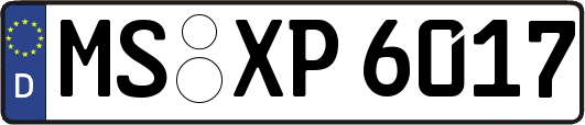MS-XP6017