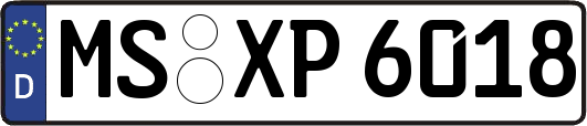 MS-XP6018