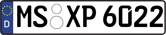 MS-XP6022