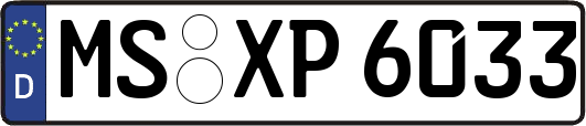MS-XP6033