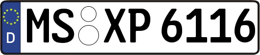 MS-XP6116