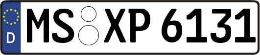 MS-XP6131