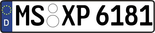 MS-XP6181