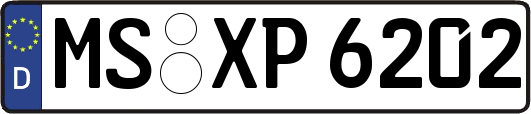 MS-XP6202