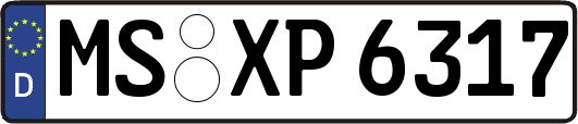 MS-XP6317