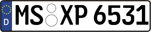 MS-XP6531