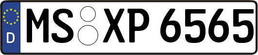 MS-XP6565