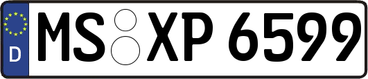 MS-XP6599