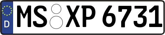 MS-XP6731
