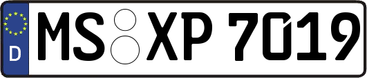 MS-XP7019