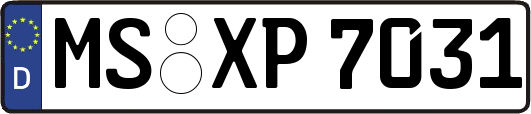 MS-XP7031