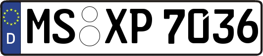 MS-XP7036