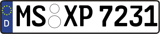 MS-XP7231