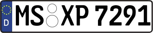 MS-XP7291