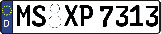 MS-XP7313