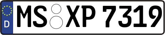 MS-XP7319