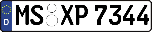 MS-XP7344