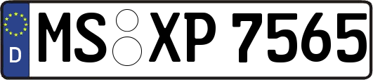 MS-XP7565