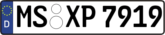 MS-XP7919