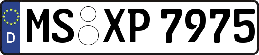 MS-XP7975