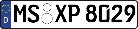 MS-XP8029