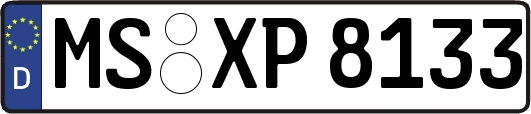 MS-XP8133