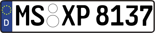 MS-XP8137
