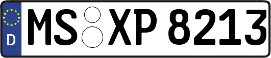MS-XP8213
