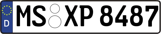 MS-XP8487